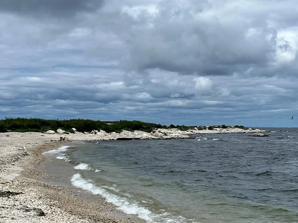 0 Other, Egg Harbor Wi 54209, ,Unimproved Land,For Sale,Other,141028