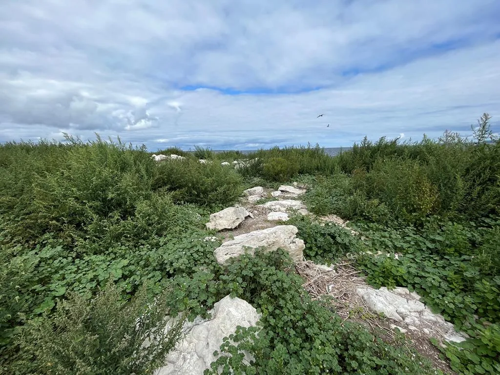0 Other, Egg Harbor Wi 54209, ,Unimproved Land,For Sale,Other,141028
