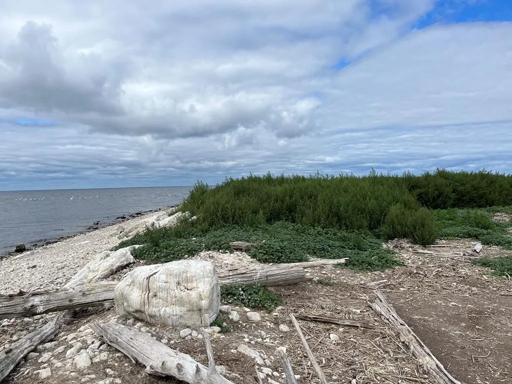 0 Other, Egg Harbor Wi 54209, ,Unimproved Land,For Sale,Other,141028