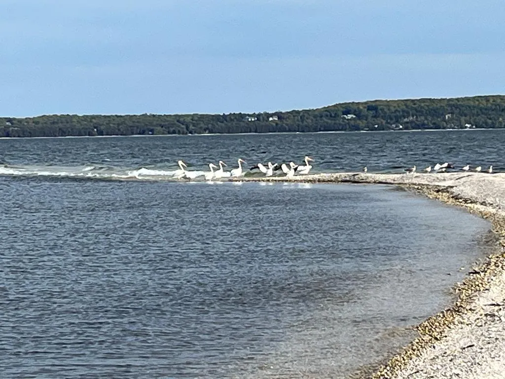 0 Other, Egg Harbor Wi 54209, ,Unimproved Land,For Sale,Other,141028