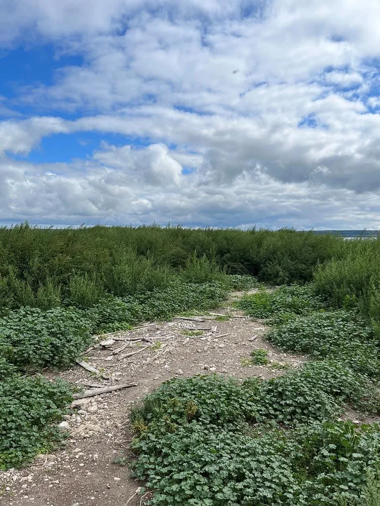 0 Other, Egg Harbor Wi 54209, ,Unimproved Land,For Sale,Other,141028