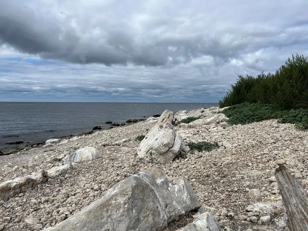 0 Other, Egg Harbor Wi 54209, ,Unimproved Land,For Sale,Other,141028