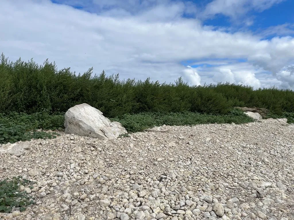 0 Other, Egg Harbor Wi 54209, ,Unimproved Land,For Sale,Other,141028