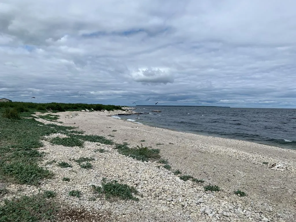 0 Other, Egg Harbor Wi 54209, ,Unimproved Land,For Sale,Other,141028