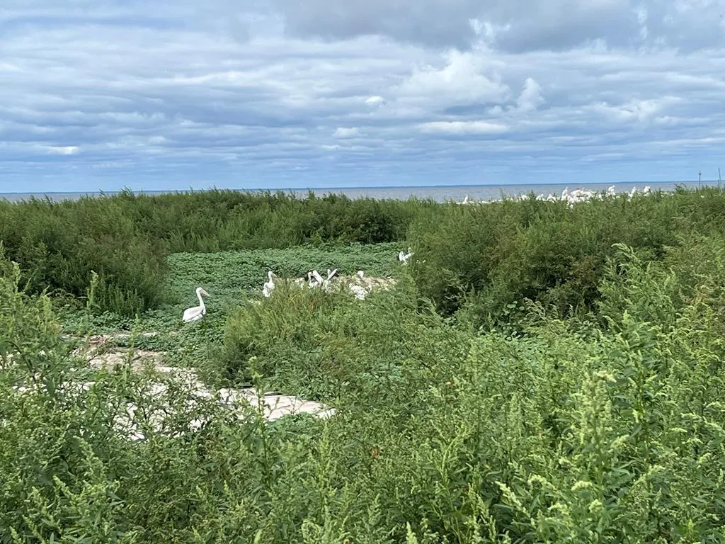 0 Other, Egg Harbor Wi 54209, ,Unimproved Land,For Sale,Other,141028