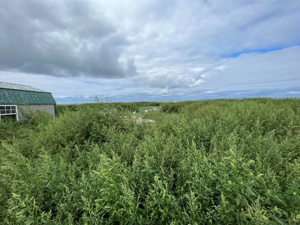 0 Other, Egg Harbor Wi 54209, ,Unimproved Land,For Sale,Other,141028