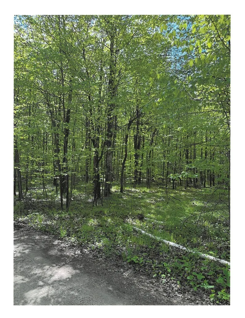 Lot #1 S Highland Rd, Town Of Gibraltar Wi 54212, ,Unimproved Land,For Sale,S Highland Rd,143320