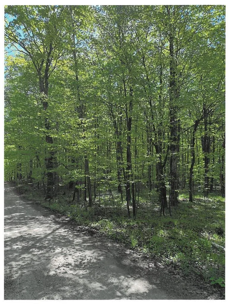 Lot #1 S Highland Rd, Town Of Gibraltar Wi 54212, ,Unimproved Land,For Sale,S Highland Rd,143320