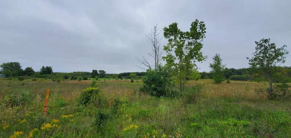 941 S Geneva Ave # 12, Sturgeon Bay Wi 54235, 3 Bedrooms Bedrooms, ,1 BathroomBathrooms,Inland-Residential,For Sale,S Geneva Ave,143715