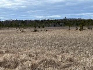 3061 Lake Forest Park Rd, Sturgeon Bay Wi 54235, ,Unimproved Land,For Sale,Lake Forest Park Rd,141638