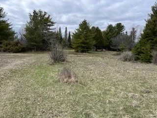 3061 Lake Forest Park Rd, Sturgeon Bay Wi 54235, ,Unimproved Land,For Sale,Lake Forest Park Rd,141638