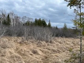 3061 Lake Forest Park Rd, Sturgeon Bay Wi 54235, ,Unimproved Land,For Sale,Lake Forest Park Rd,141638