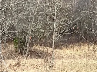 3061 Lake Forest Park Rd, Sturgeon Bay Wi 54235, ,Unimproved Land,For Sale,Lake Forest Park Rd,141638