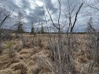 3061 Lake Forest Park Rd, Sturgeon Bay Wi 54235, ,Unimproved Land,For Sale,Lake Forest Park Rd,141638