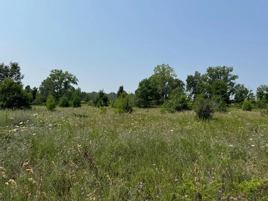 Lot 2 Division Rd, Egg Harbor, Wisconsin 54209, ,Unimproved Land,For Sale,Division Rd,144359
