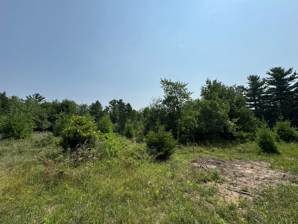 Lot 2 Division Rd, Egg Harbor, Wisconsin 54209, ,Unimproved Land,For Sale,Division Rd,144359