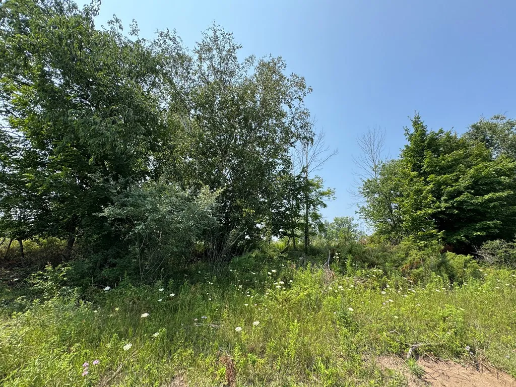 Lot 2 Division Rd, Egg Harbor, Wisconsin 54209, ,Unimproved Land,For Sale,Division Rd,144359