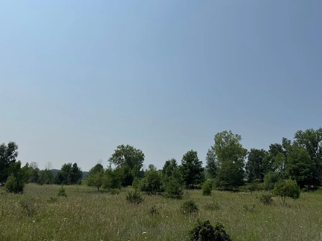 Lot 2 Division Rd, Egg Harbor, Wisconsin 54209, ,Unimproved Land,For Sale,Division Rd,144359