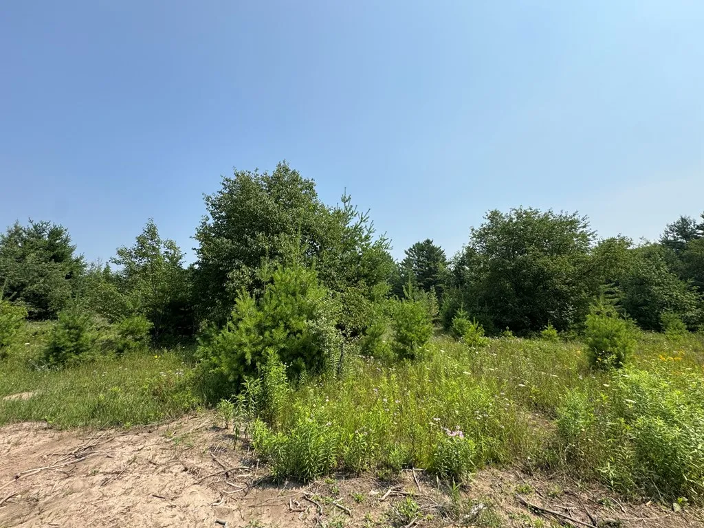 Lot 2 Division Rd, Egg Harbor, Wisconsin 54209, ,Unimproved Land,For Sale,Division Rd,144359