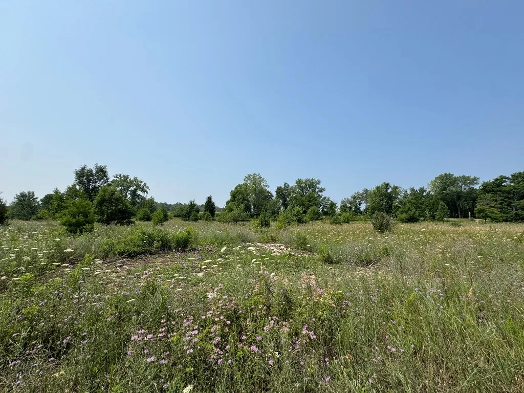 Lot 2 Division Rd, Egg Harbor, Wisconsin 54209, ,Unimproved Land,For Sale,Division Rd,144359