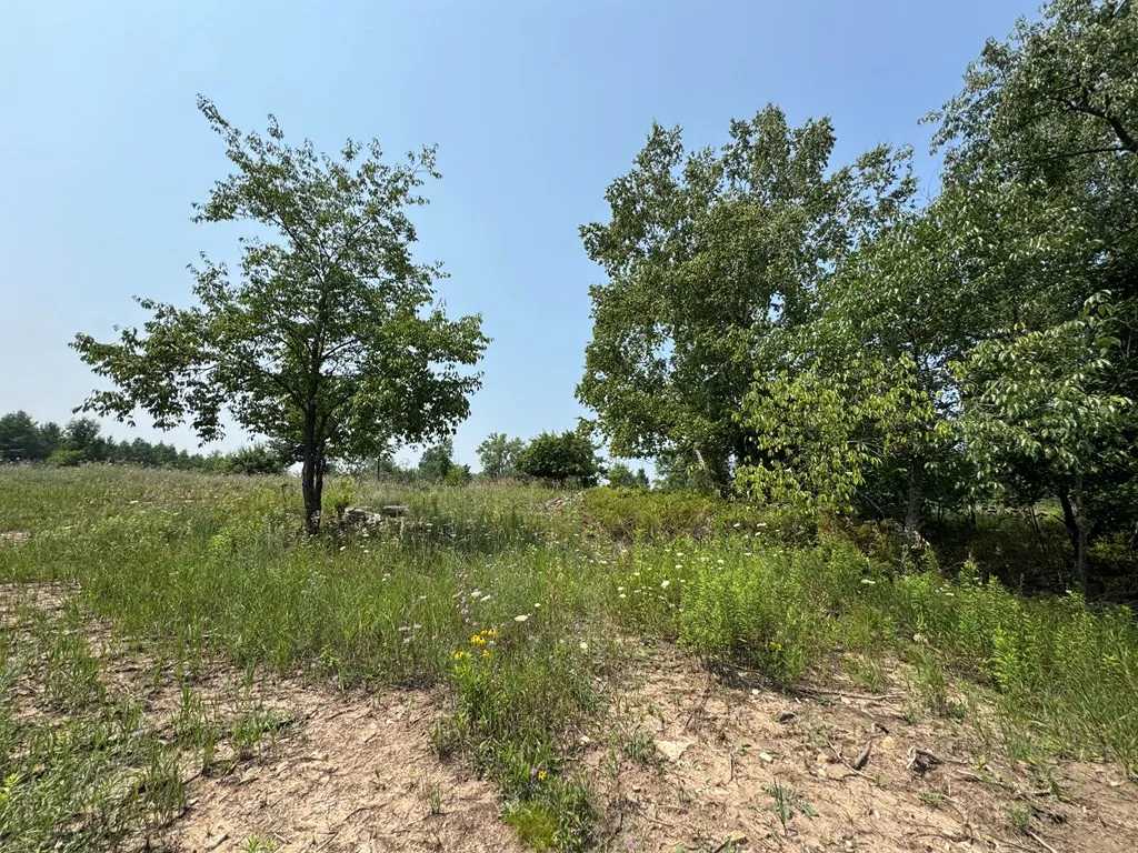 Lot 2 Division Rd, Egg Harbor, Wisconsin 54209, ,Unimproved Land,For Sale,Division Rd,144359