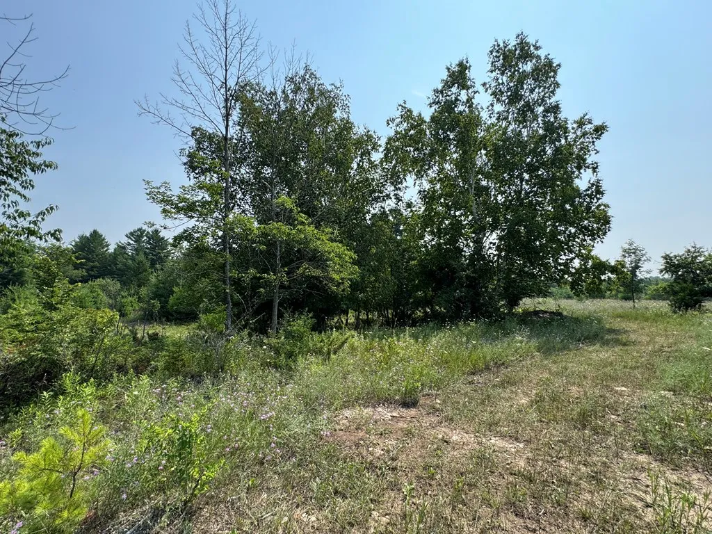 Lot 2 Division Rd, Egg Harbor, Wisconsin 54209, ,Unimproved Land,For Sale,Division Rd,144359