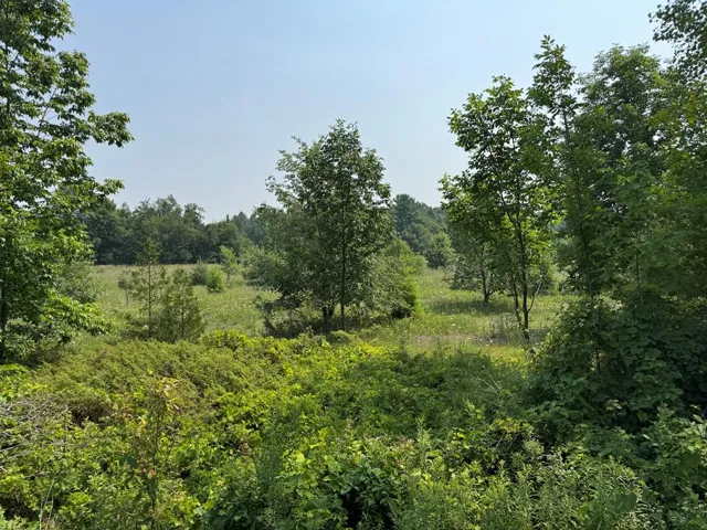 Lot 2 Division Rd, Egg Harbor, Wisconsin 54209, ,Unimproved Land,For Sale,Division Rd,144359