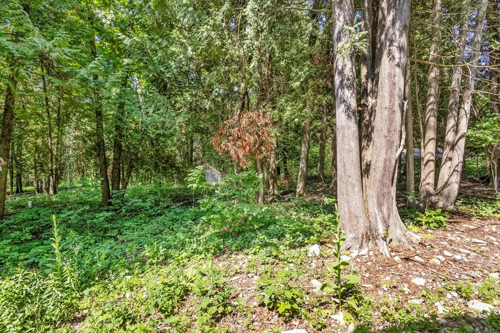 7376 Elms Rd, Sturgeon Bay, Wisconsin 54235, 2 Bedrooms Bedrooms, ,1 BathroomBathrooms,Inland-Residential,For Sale,Elms Rd,144274