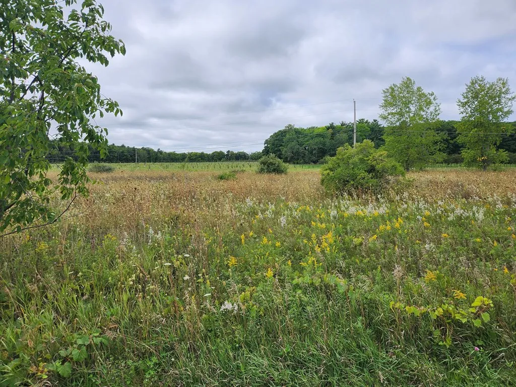 4345 W Madeline Ln, Sturgeon Bay Wi 54235, ,Unimproved Land,For Sale,W Madeline Ln,143681