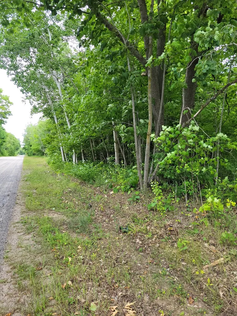 Wayside Rd, Egg Harbor Wi 54209, ,Unimproved Land,For Sale,Wayside Rd,143011