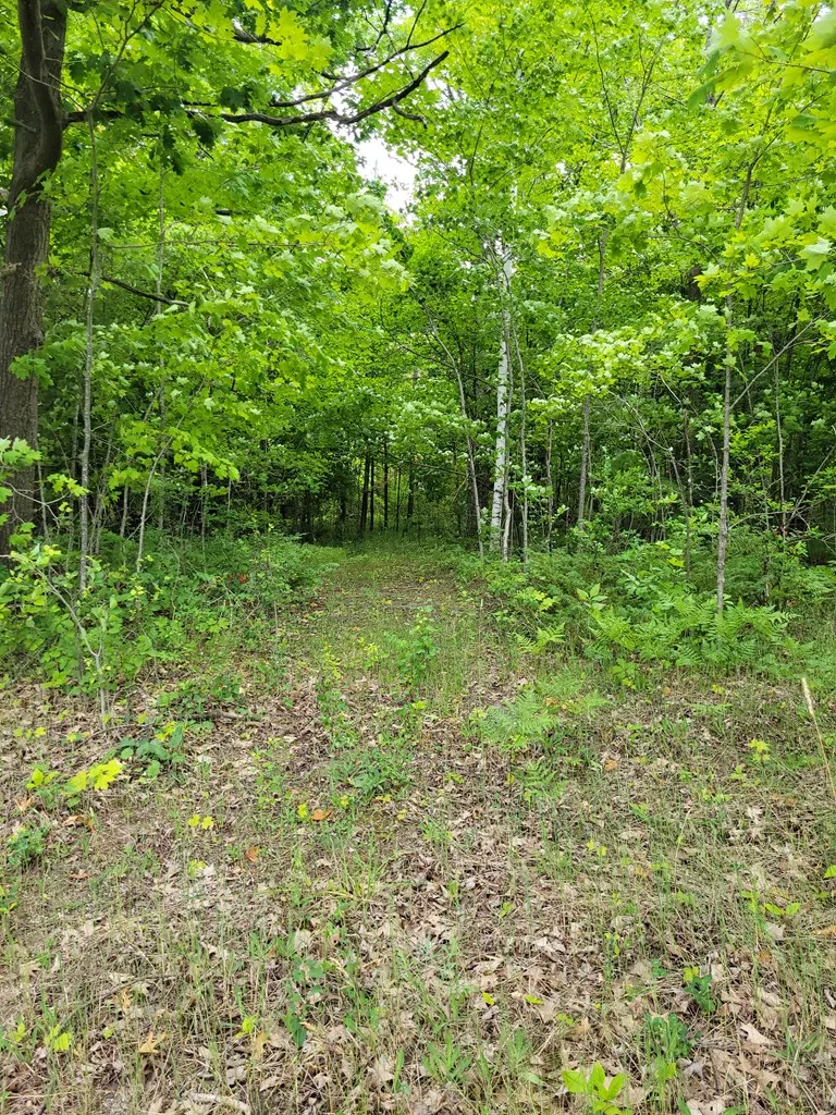 Wayside Rd, Egg Harbor Wi 54209, ,Unimproved Land,For Sale,Wayside Rd,143011