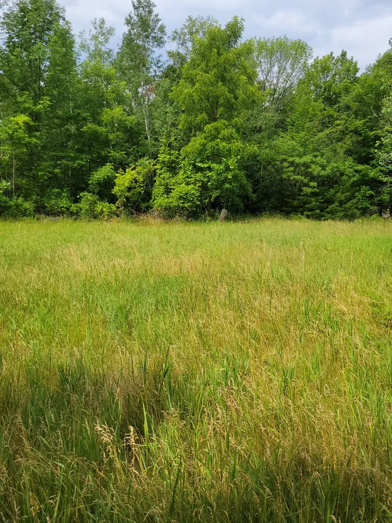 Wayside Rd, Egg Harbor Wi 54209, ,Unimproved Land,For Sale,Wayside Rd,143011