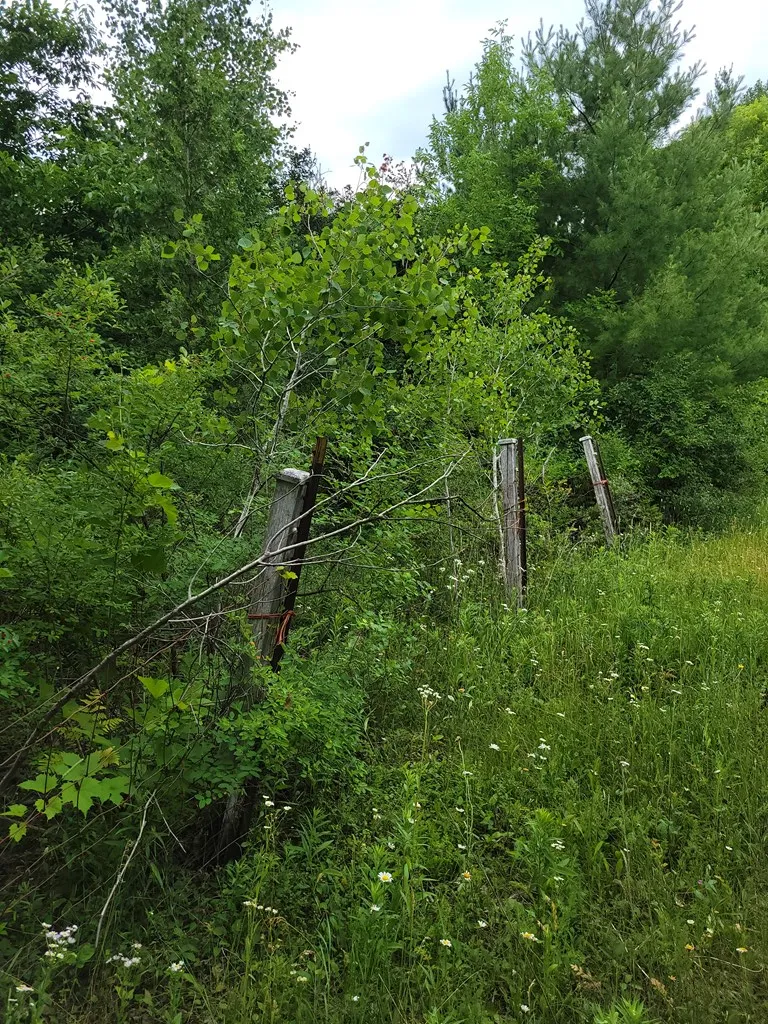 Wayside Rd, Egg Harbor Wi 54209, ,Unimproved Land,For Sale,Wayside Rd,143011