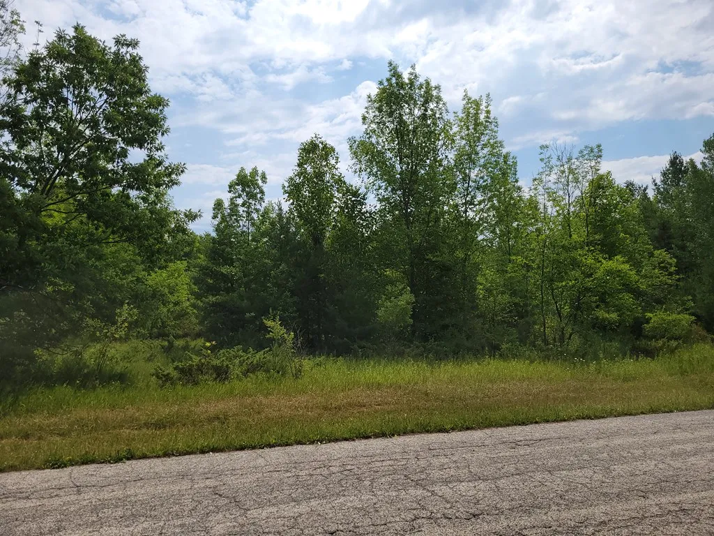 Wayside Rd, Egg Harbor Wi 54209, ,Unimproved Land,For Sale,Wayside Rd,143011