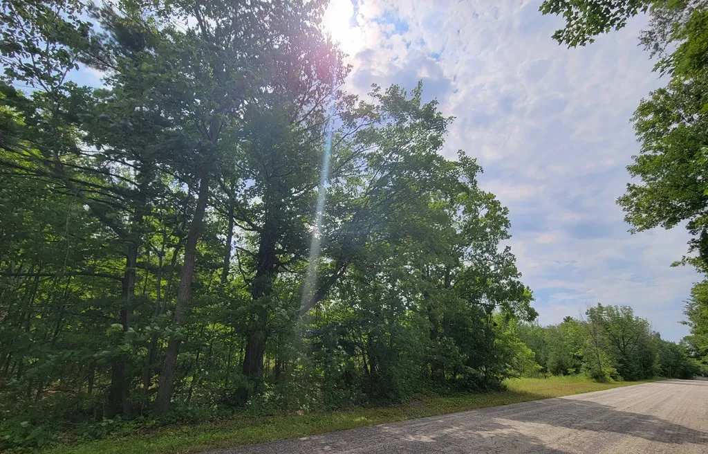 Wayside Rd, Egg Harbor Wi 54209, ,Unimproved Land,For Sale,Wayside Rd,143011