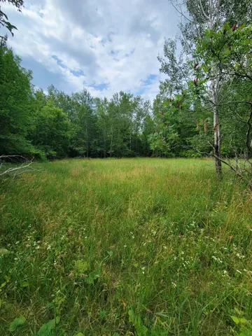 Wayside Rd, Egg Harbor Wi 54209, ,Unimproved Land,For Sale,Wayside Rd,143011