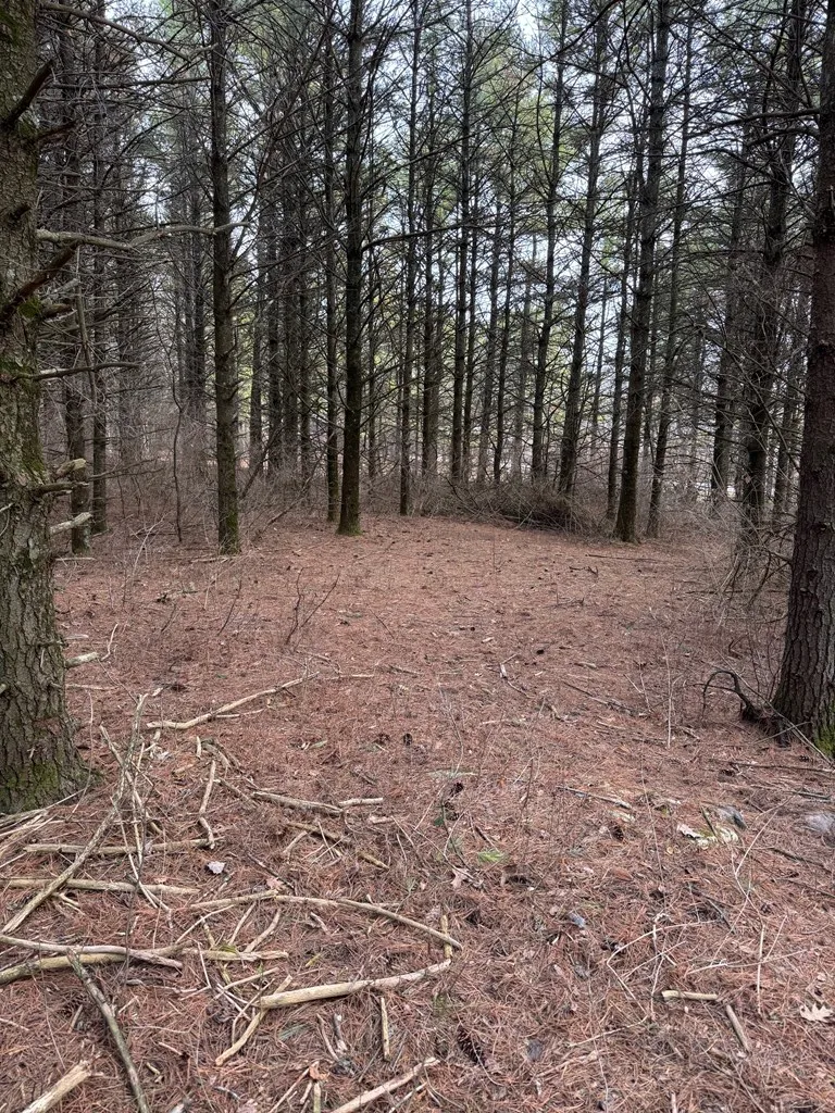 Bay Shore Heights Cir, Sturgeon Bay Wi 54235, ,Unimproved Land,For Sale,Bay Shore Heights Cir,143704