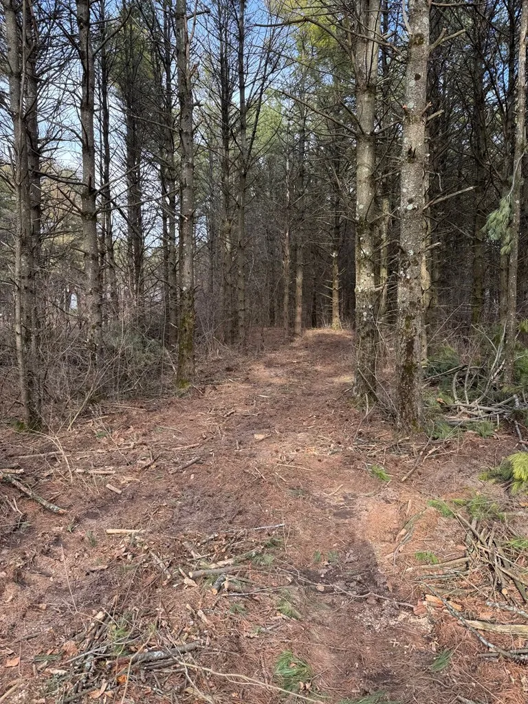 Bay Shore Heights Cir, Sturgeon Bay Wi 54235, ,Unimproved Land,For Sale,Bay Shore Heights Cir,143704