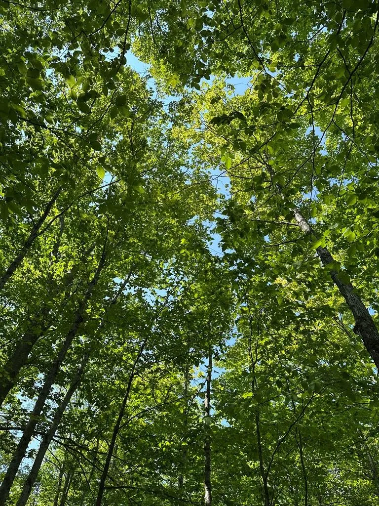 Tbd Gibraltar Rd, Fish Creek, Wisconsin 54212, ,Unimproved Land,For Sale,Gibraltar Rd,144088