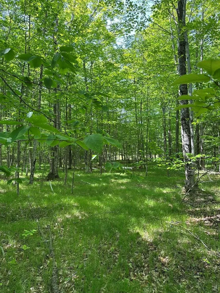 Tbd Gibraltar Rd, Fish Creek, Wisconsin 54212, ,Unimproved Land,For Sale,Gibraltar Rd,144088