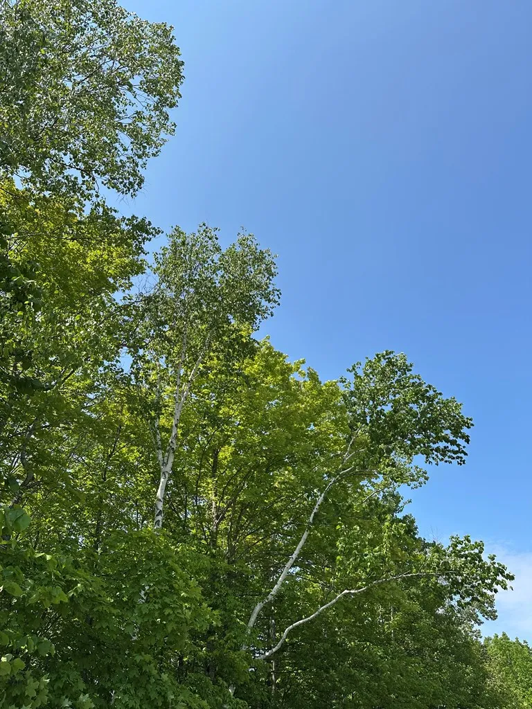Tbd Gibraltar Rd, Fish Creek, Wisconsin 54212, ,Unimproved Land,For Sale,Gibraltar Rd,144088