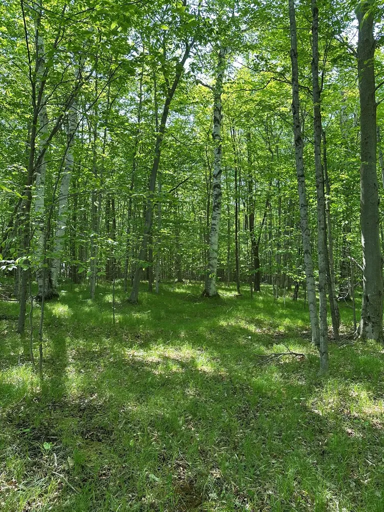 Tbd Gibraltar Rd, Fish Creek, Wisconsin 54212, ,Unimproved Land,For Sale,Gibraltar Rd,144088