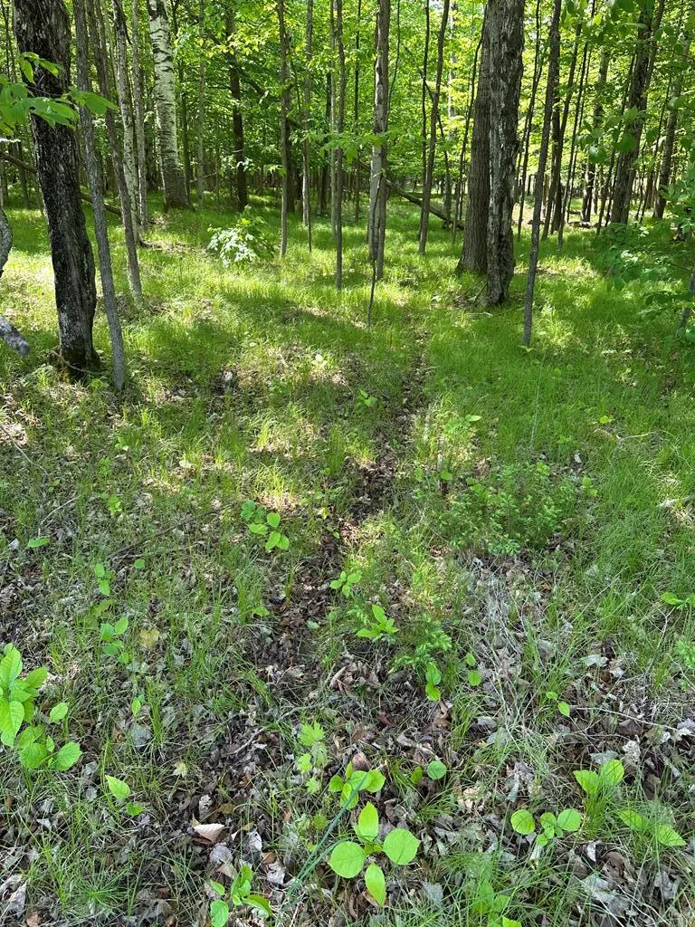 Tbd Gibraltar Rd, Fish Creek, Wisconsin 54212, ,Unimproved Land,For Sale,Gibraltar Rd,144088