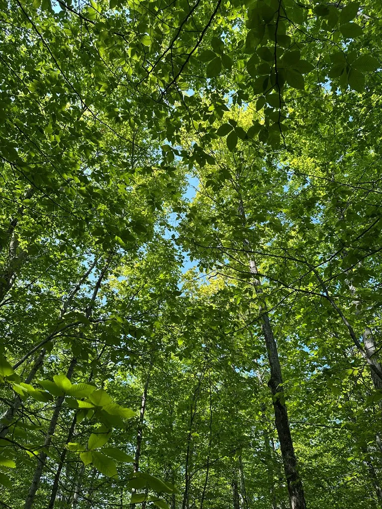 Tbd Gibraltar Rd, Fish Creek, Wisconsin 54212, ,Unimproved Land,For Sale,Gibraltar Rd,144088