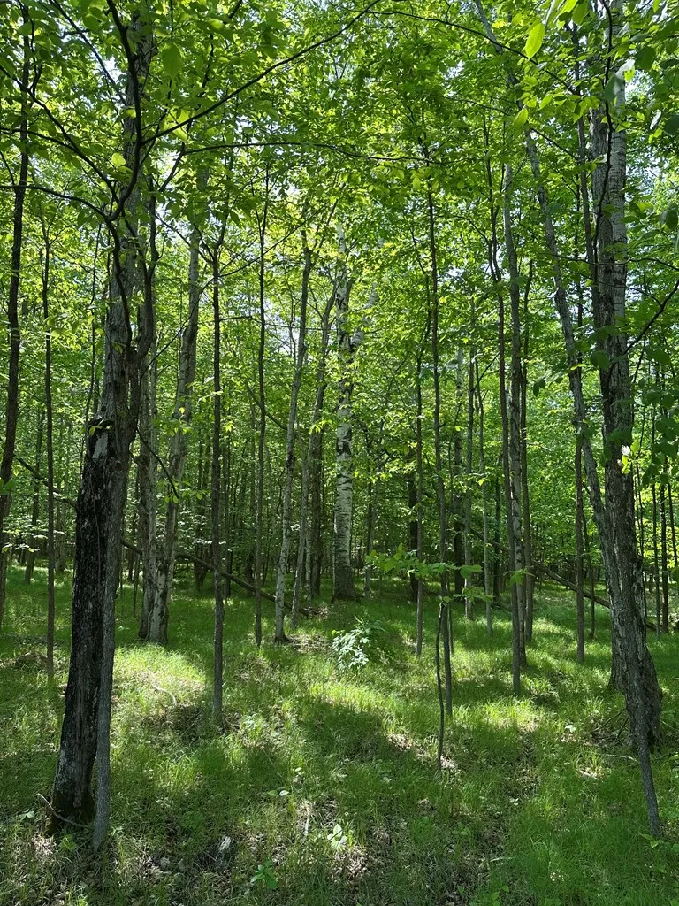 Tbd Gibraltar Rd, Fish Creek, Wisconsin 54212, ,Unimproved Land,For Sale,Gibraltar Rd,144088