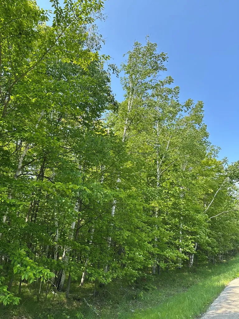 Tbd Gibraltar Rd, Fish Creek, Wisconsin 54212, ,Unimproved Land,For Sale,Gibraltar Rd,144088