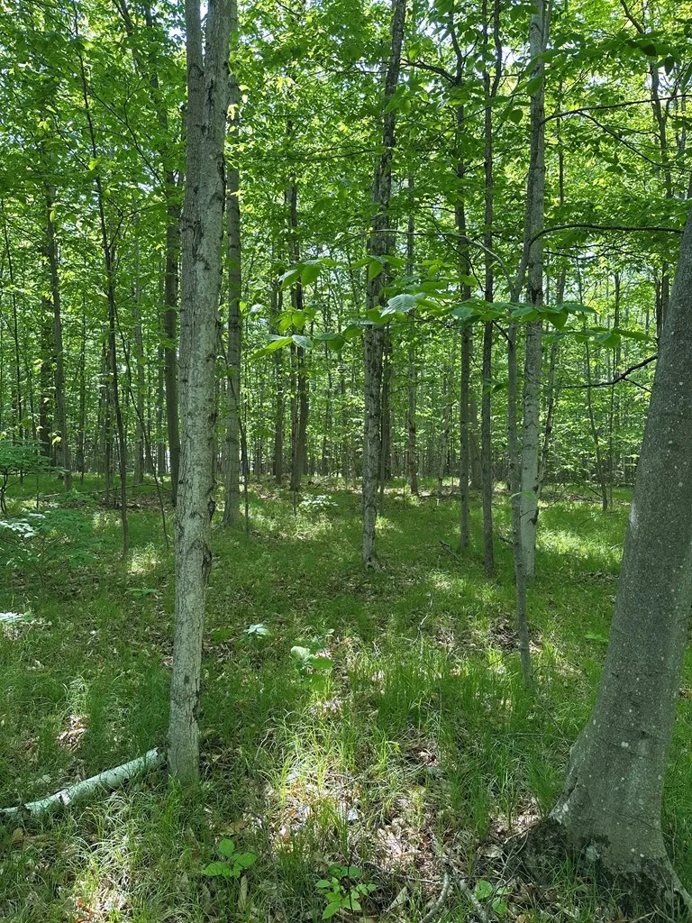 Tbd Gibraltar Rd, Fish Creek, Wisconsin 54212, ,Unimproved Land,For Sale,Gibraltar Rd,144088