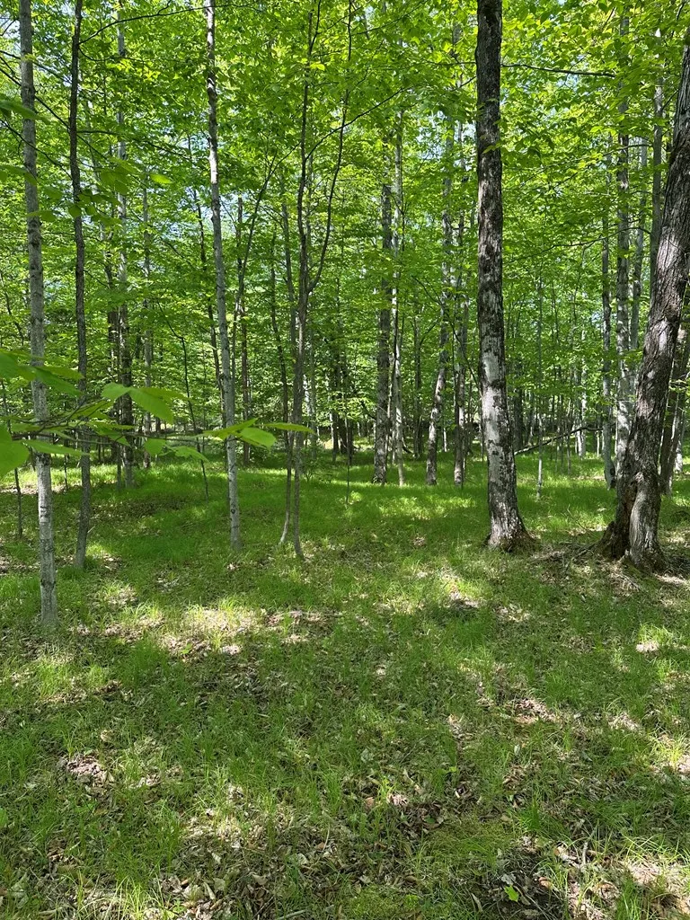 Tbd Gibraltar Rd, Fish Creek, Wisconsin 54212, ,Unimproved Land,For Sale,Gibraltar Rd,144088