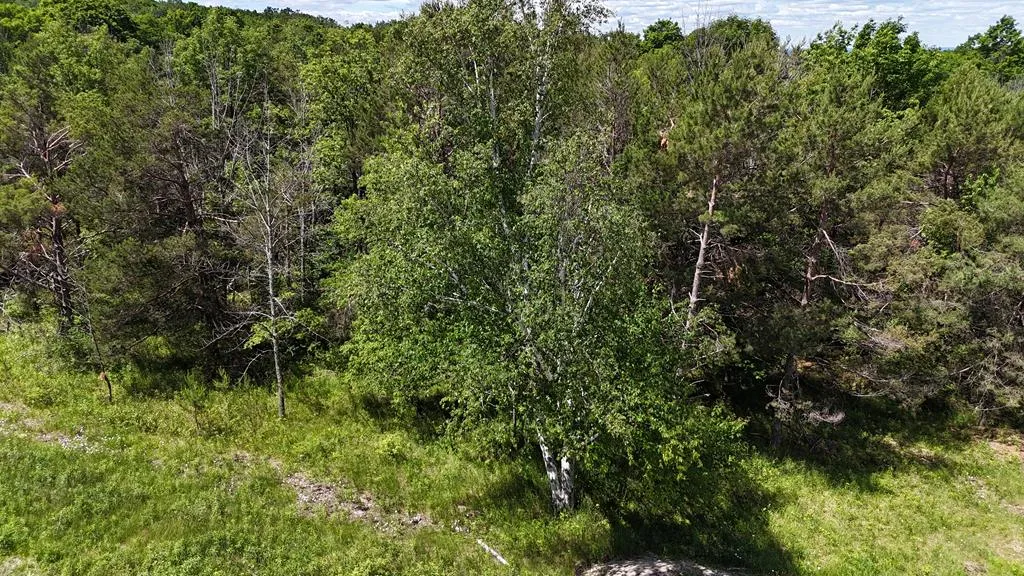 Site #2 Cottage Bluff Ln