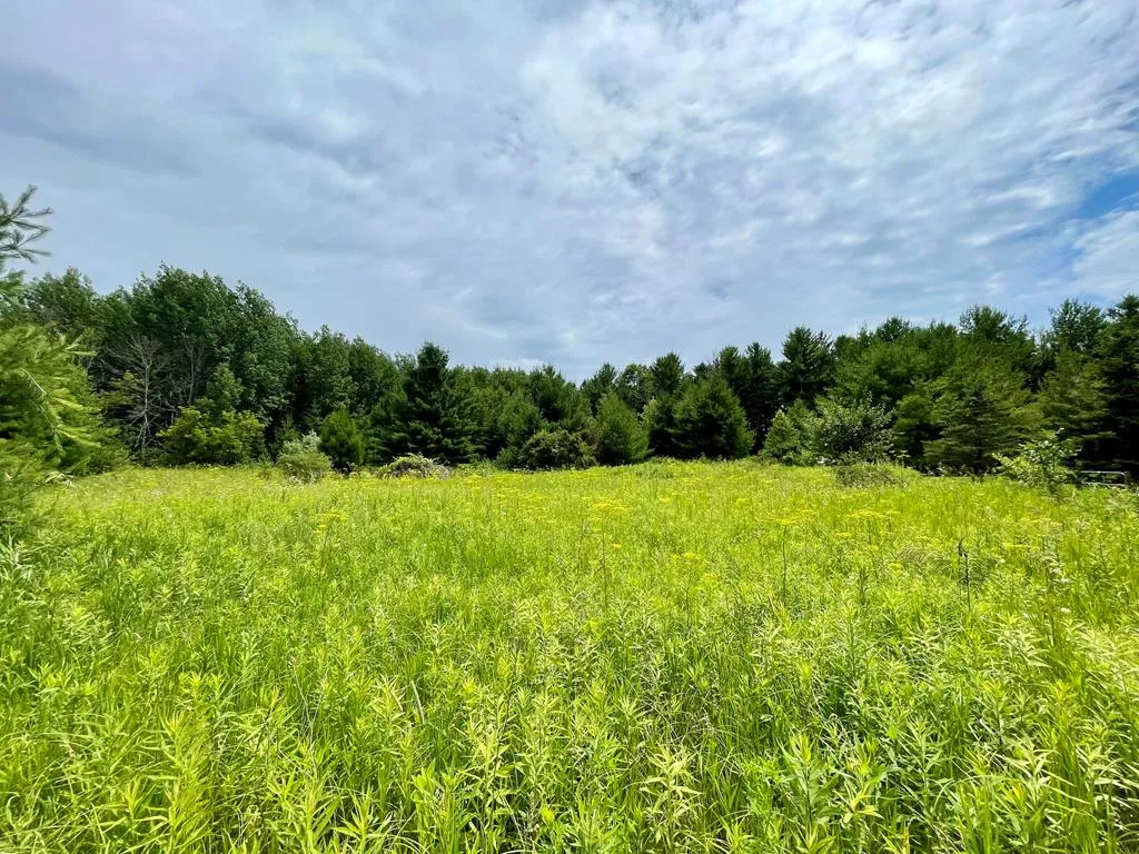 Overlook Terrace, Sturgeon Bay Wi 54235, ,Unimproved Land,For Sale,Overlook Terrace,141854